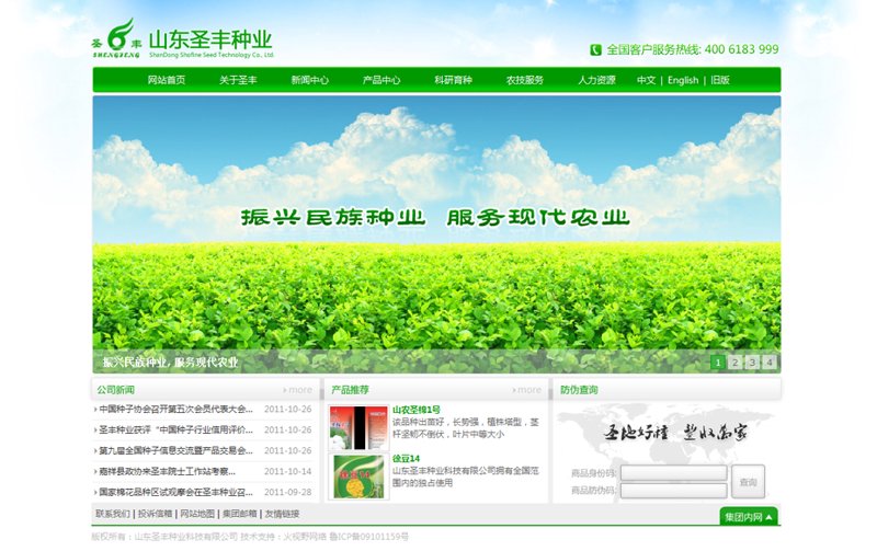 山东网站建设